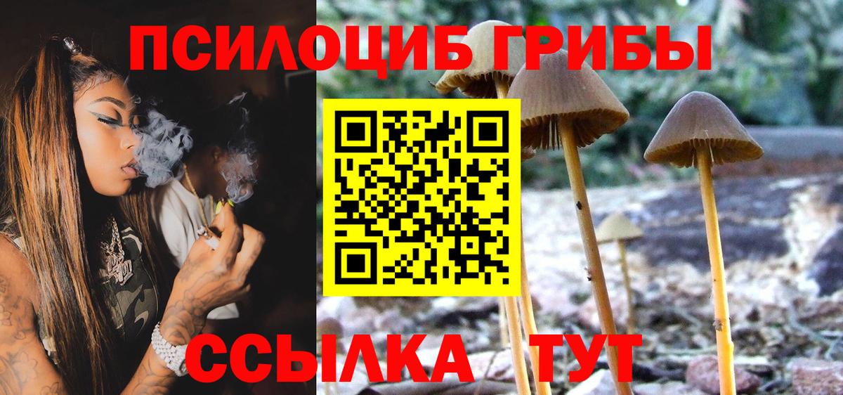 что такое   Галлюциногенные грибы Psilocybine cubensis  Вход с VPN  Красноуфимск 