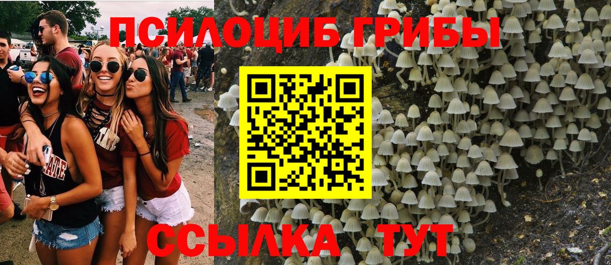 Псилоцибиновые грибы GOLDEN TEACHER Красноуфимск